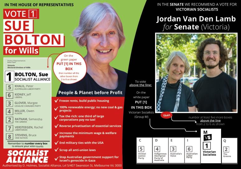 How to vote Socialist Alliance in Wills