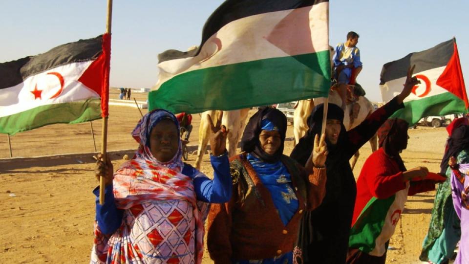 Polisario supporters in Western Sahara. Photo: Tony Iltis